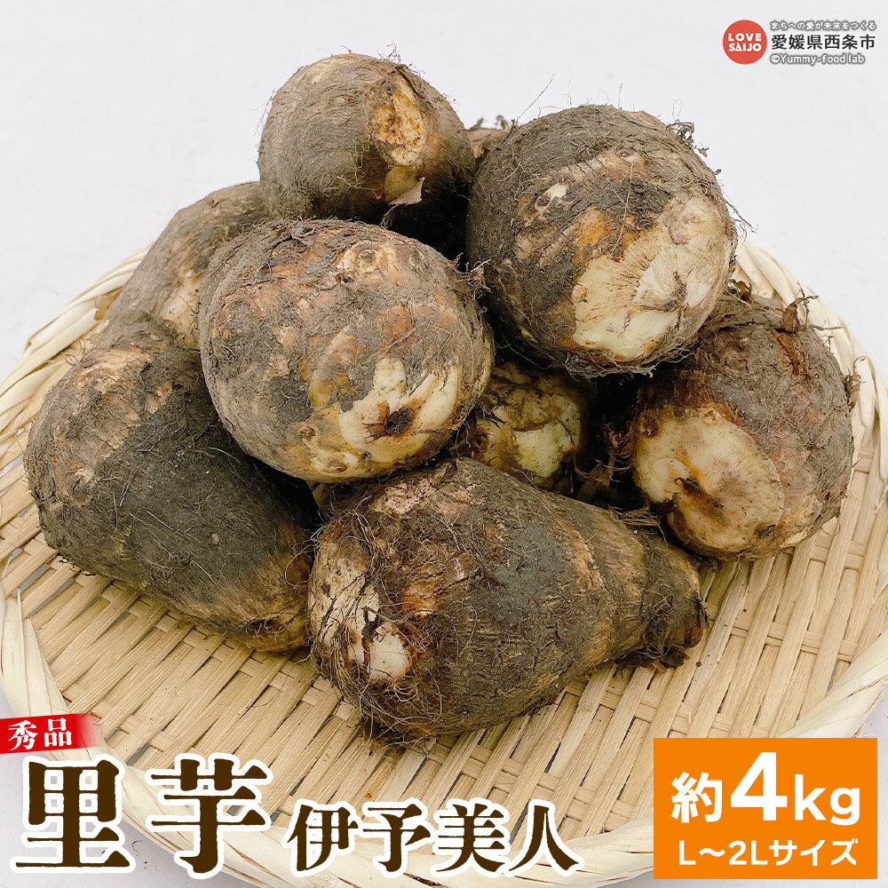 【ふるさと納税】＜里芋 伊予美人 秀品 約4kg L～2Lサイズ＞※2025年10月中旬～2026年3月上旬迄に順次出荷 さといも サトイモ 里いも 野菜 やさい 国産 愛媛県産 フジ・アグリフーズ 愛媛県 西条市【常温】
