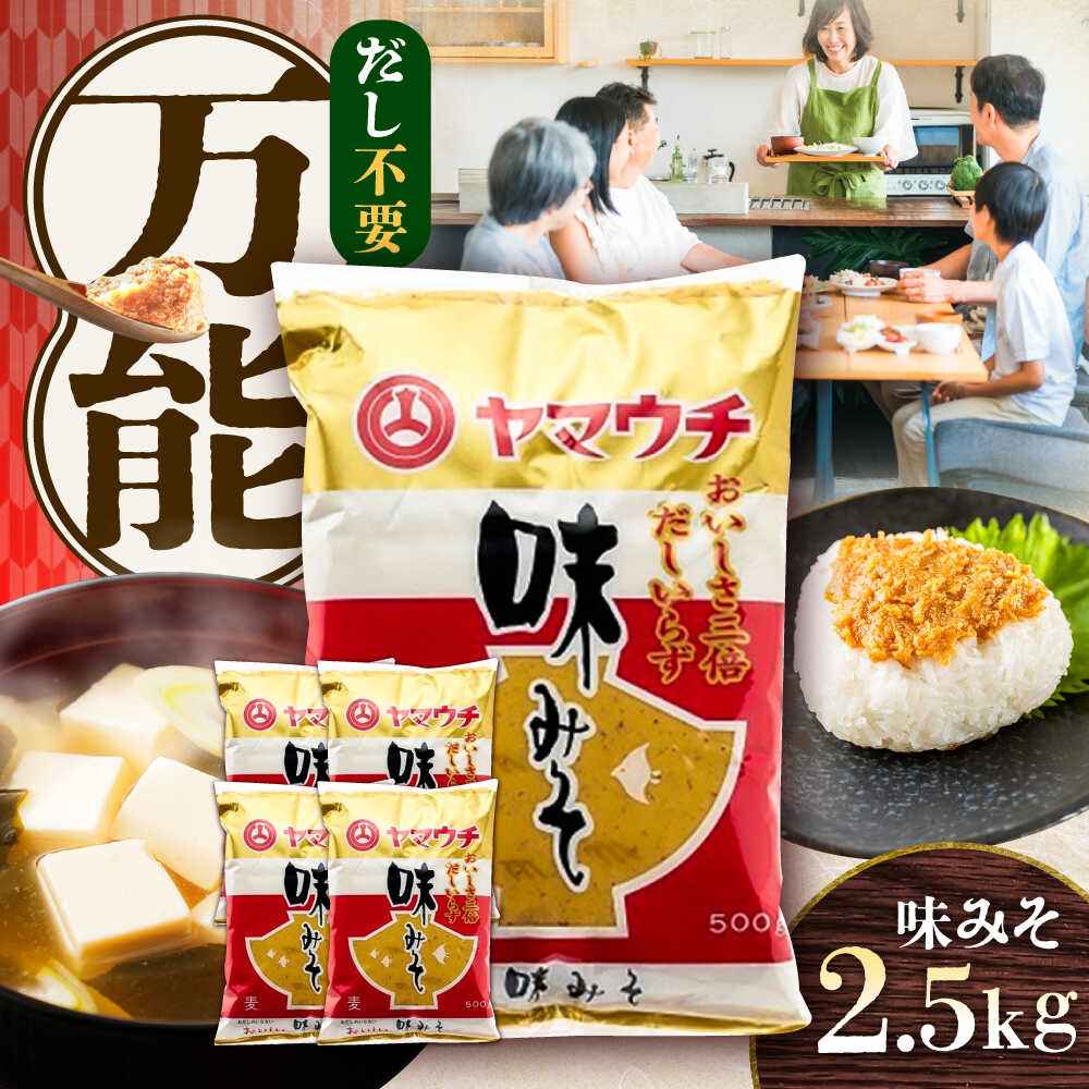 【ふるさと納税】味みそ2.5kg(500g×5袋) 5000円以上 5千円以上 5,000円以上【株式会社山内本店】[BHAE044]