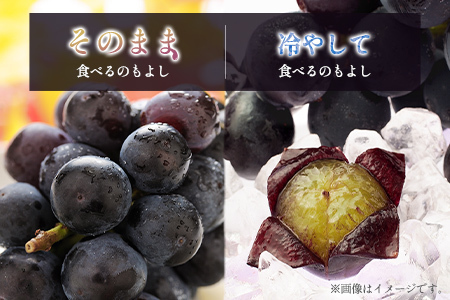 ぶどう ニューピオーネ 1kg+100g補償付 果物 フルーツ B683