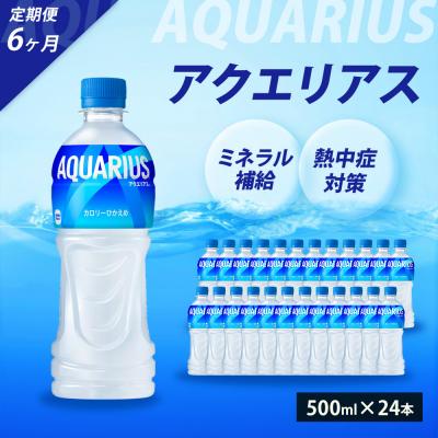 ふるさと納税 三原市 【6ヵ月定期便】アクエリアス 500mlPET　24本セット[014-018]