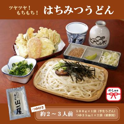 ふるさと納税 吉岡町 【のし付き】はちみつうどん500g×1袋　約2〜3人前(半生うどん)