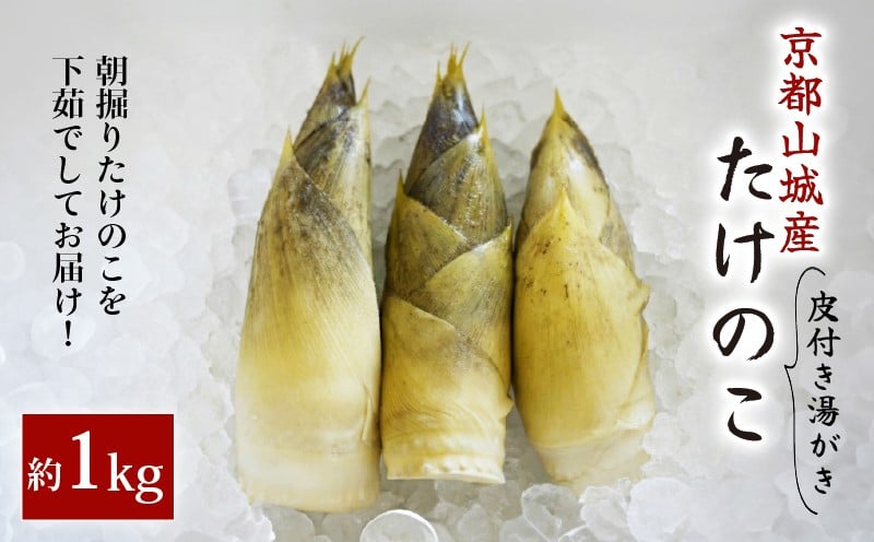 
                  【湯がき済み】朝掘り京たけのこ 約1kg(2～3本) 京都山城産 <2026年4月発送> 令和8年 先行予約 下処理済み 皮付き 茹で ゆで 朝採れ 手軽 お手軽 簡単調理 白子筍 朝掘り 新鮮 筍 竹の子 たけのこ 京たけのこ 国産 京都山城京野菜 野菜 国産 炊き込みご飯 煮物 旬 春 まるやま食品 京都 京都府 井手 井手町
                