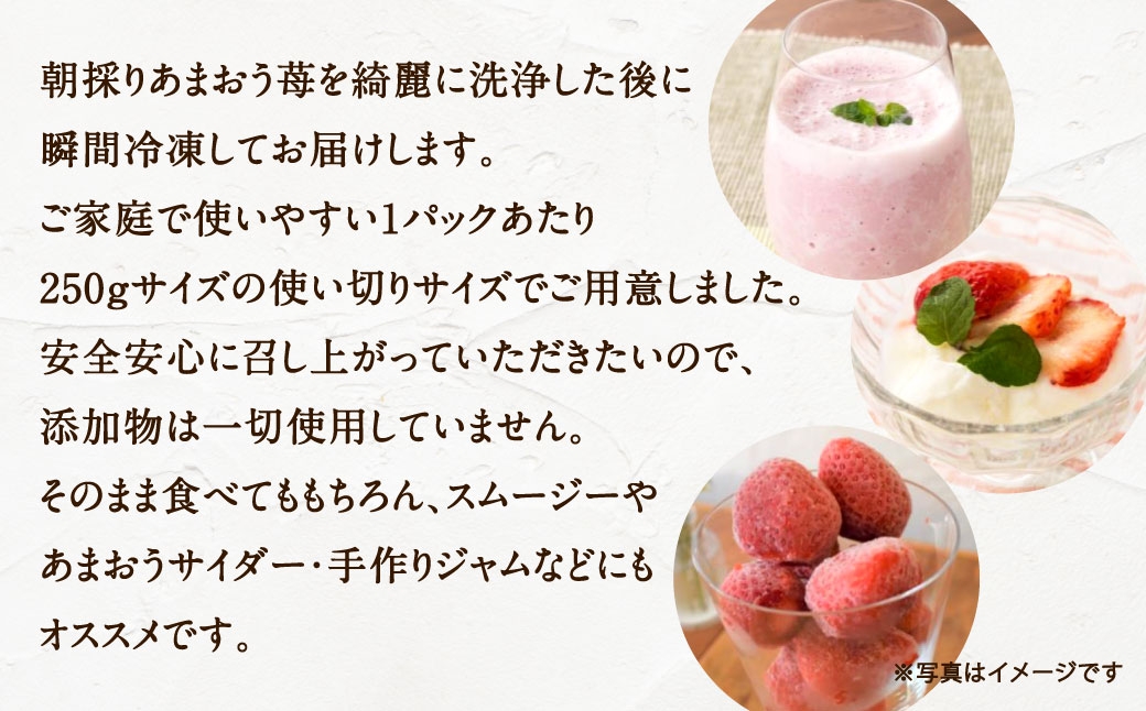 訳あり福岡県産冷凍あまおう約500g