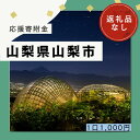 【ふるさと納税】山梨県山梨市への寄付（返礼品はありません）