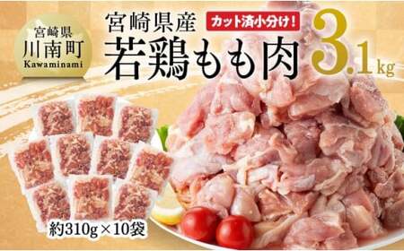 【令和7年6月発送】 宮崎県産 若鶏 もも肉 310g×10袋 (3.1kg) 【 鶏肉 モモ肉 肉 小分け からあげ チキン南蛮 国産 九州産 宮崎県産 送料無料 】