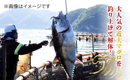 長崎県五島産 近大マグロ  （大トロ）刺身ブロック 五島市/五島ヤマフ [PAK017]