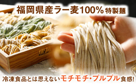 【レンジで簡単】【12種類の野菜入り】新感覚ヌードル「ベジドル」8食セット 桂川町/有限会社フーデスト [ADBJ002] 野菜ラーメン ラーメンパスタ おすすめ