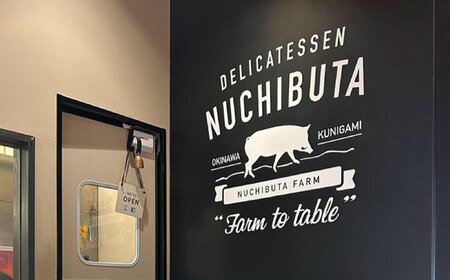 『NUCHIBUTA Aセット』 豚肉 ハンバーグ ソーセージ 詰め合わせ お取り寄せ 国産 ギフト 冷凍 沖縄市 / DELICATESSEN NUCHIBUTA[BCAR003]