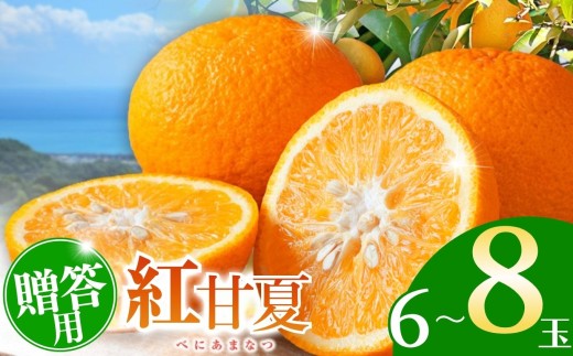 【贈答用】紅甘夏 6玉～8玉 | フルーツ 果物 くだもの 柑橘 ミカン みかん 甘夏 あまなつ 熊本県 玉名市