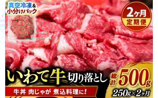 ＼2ヶ月連続 定期便／ 切り落とし 肉 牛肉 小分け 真空冷凍 いわて牛 250g (総計 500g) 岩手県産 和牛 牛肉 黒毛 和牛 切り落とし肉 大容量 肉 すき焼き 肉じゃが 煮込み 煮物 赤身 国産牛 小分け 冷凍 数量限定 (AB093)