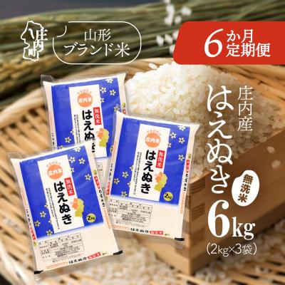 ふるさと納税 庄内町 【定期便】【令和7年産/8年産】はえぬき 無洗米 2kg×3袋×6ヶ月 毎月 6kg【9月中旬発送】