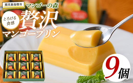マンゴー農家の贅沢マンゴープリン9個入(マンゴーの森/IB040-005)