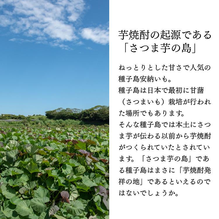 焼酎 しま甘露　(900ｍｌ)×6本　NFN151 【675pt】