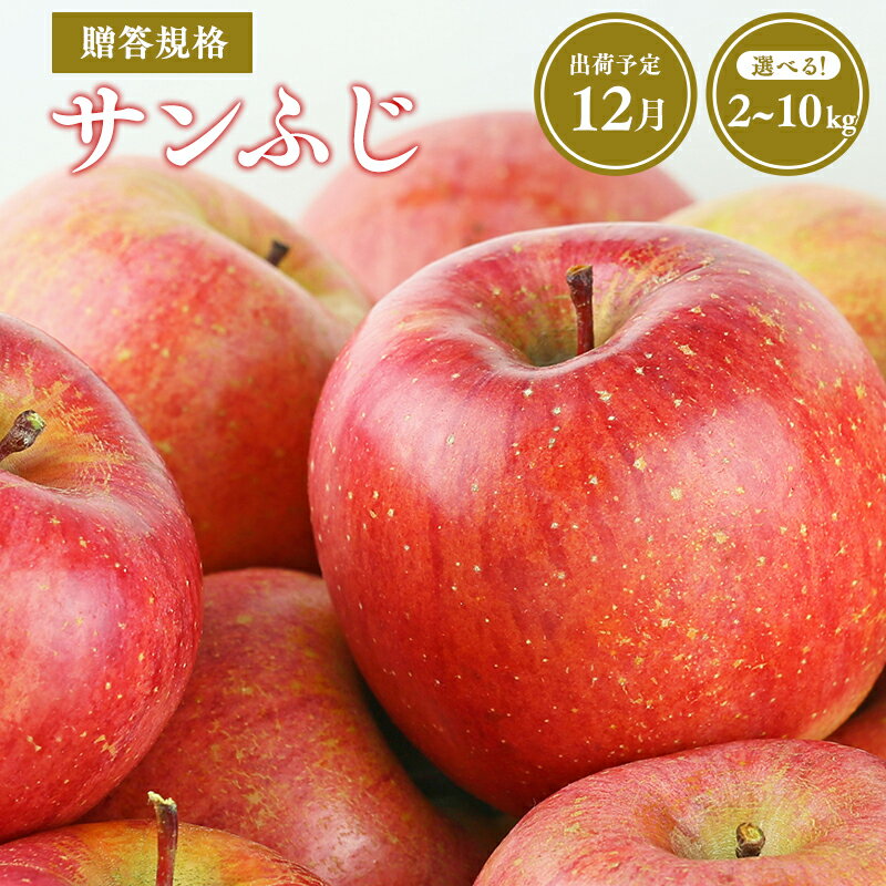 【ふるさと納税】≪令和7年産先行受付≫12月発送! 青森県産 贈答規格 サンふじ 2kg 3kg 5kg 10kg【青森県 平川市 山内ファーム】平川市産 青森りんご りんご リンゴ 林檎 ふじ 贈答 贈答品 お取り寄せ 先行予約 果物 くだもの フルーツ レビューキャンペーン