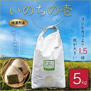 茨城県城里町産 いのちの壱 5kg (2024年産)【1562907】