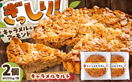 手作りキャラメルタルト 2個セット (約直径15cm×2) / キャラメル  お菓子 タルトたると 洋菓子 きゃらめる デザート スイーツ  石原農園 長靴をはいた猫 手作り 2個 ハチミツ スライスアーモンド 熊本県 菊陽町 地元 おやつ 1万円以下 10000円以下 5000円以上 5千円以上 5,000円以上【有限会社さんふれあ】[BHAK013]