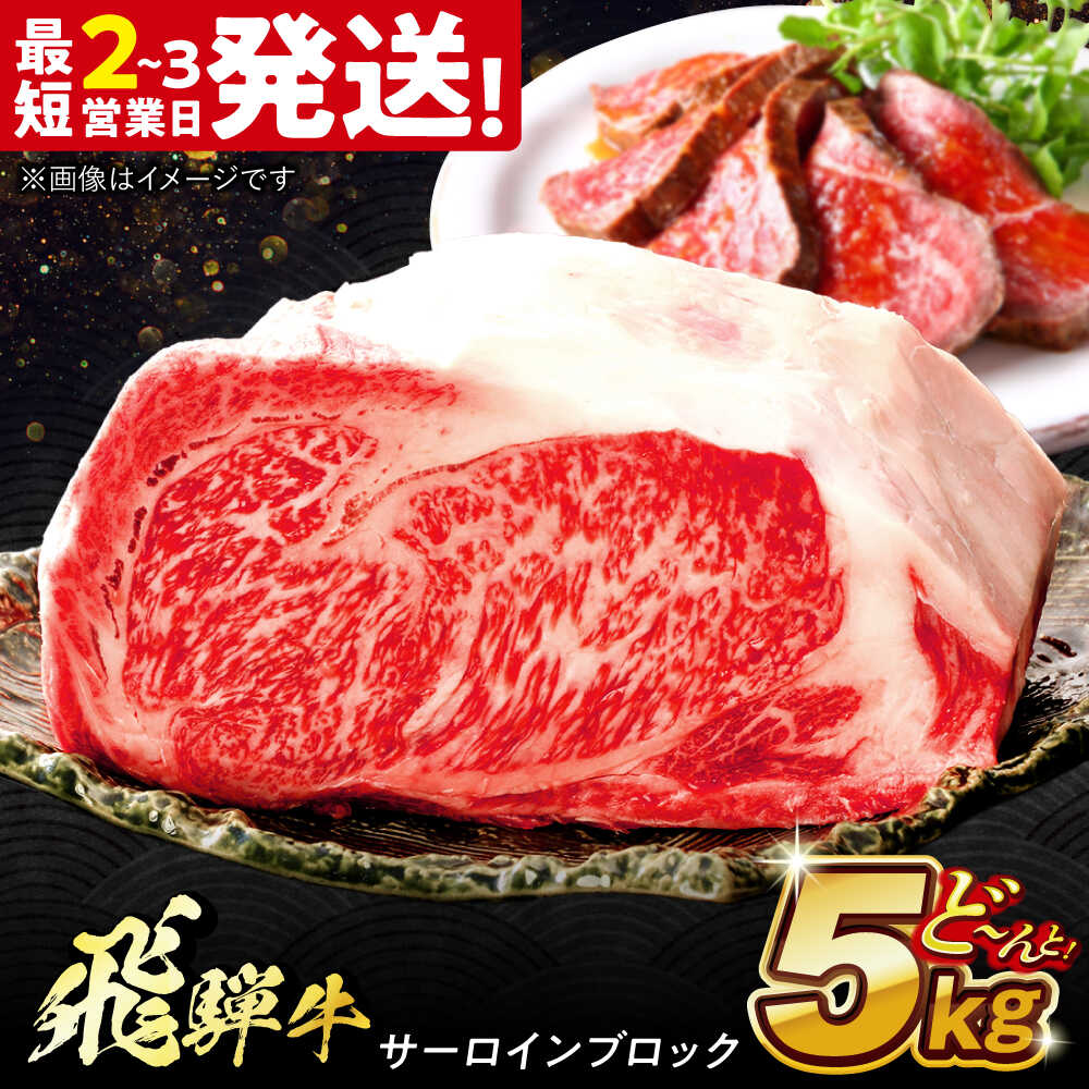 【ふるさと納税】飛騨牛 極上 サーロイン ブロック 5kg 多治見市 / 飛騨牛 牛肉 和牛 養老ミート 冷凍 和牛 ギフト[THG014]