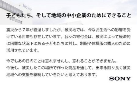 ソニー ブルーレイディスク 1層(25GB) 11枚パック 【04209-0166】 日用品 ブルーレイディスク 日用品 日本製 高品質 ストレージ 保存用 日用品 ＢＤ 日用品 日本製 高品質 スト