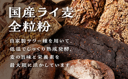 ドイツパンセット 国産 ライ麦 ハード ドイツパン