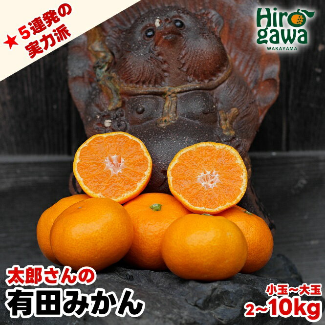 【ふるさと納税】 有田 みかん 小玉 M・L 大玉 / 有田みかん 温州みかん 甘い 小粒 和歌山 柑橘 2kg 5kg 10kg 6000円 10000円 ※12月上旬〜1月上旬に順次発送 //mandarin