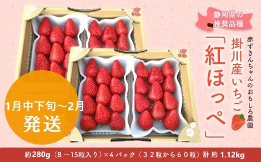 ６３９２　①1月中下旬～2月からの発送 いちご 掛川産 紅ほっぺ 約280g×4パック 計1.12ｋｇ ①1月中下旬～2月 ②3月 の中からお選び下さい 赤ずきんちゃんのおもしろ農園 