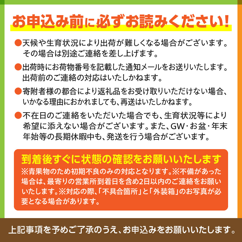 《2026年発送先行予約》【数量・期間限定】古谷農園の宮崎完熟マンゴー Aクラス 約1kg 完熟マンゴー 果物 果実くだもの