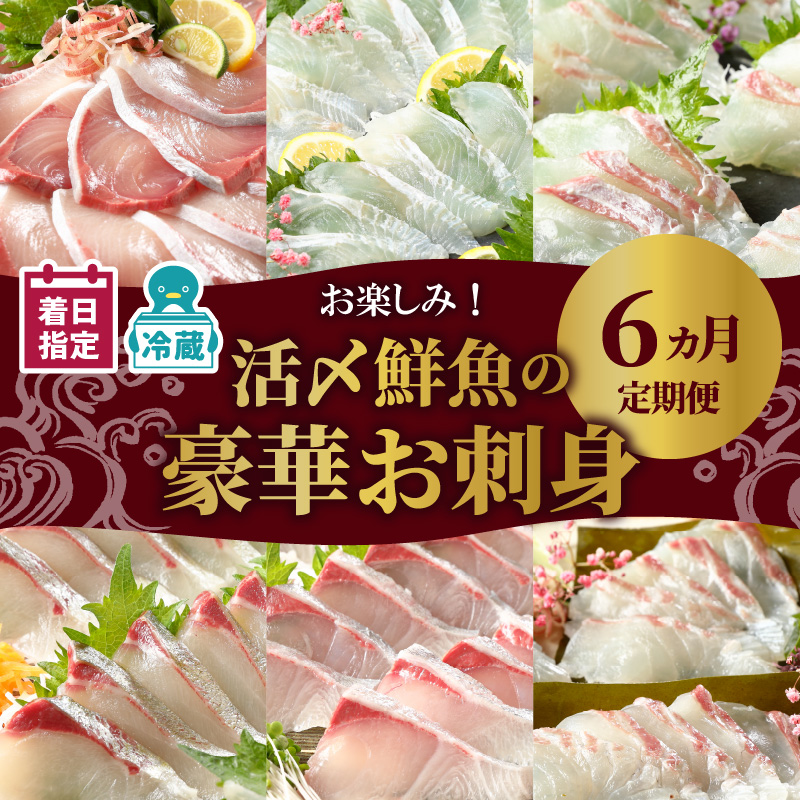 【お楽しみ定期便】延岡産活〆鮮魚の豪華お刺身（6ヶ月定期便） N019-YF073