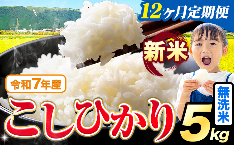 【12ヶ月定期便】令和7年産 新米 無洗米 こしひかり 5kg《お申込み翌月から出荷》熊本県産 ふるさと納税 無洗米 ひの 米 こめ ふるさとのうぜい コシヒカリ コメ お米 おこめ---reihoku_loc_344_mo12---