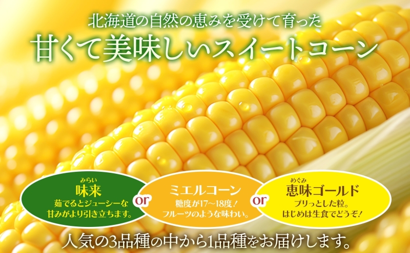 北海道 新しのつ産 とうもろこし 黄色 2L 8本 トウモロコシ 