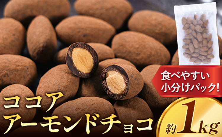 ココア アーモンドチョコ 1kg《30日以内に出荷予定(土日祝除く)》和歌山県 日高川町 送料無料 スイーツ デザート お菓子 おやつ チョコ アーモンド アーモンドチョコ ココア---wfn_cwl