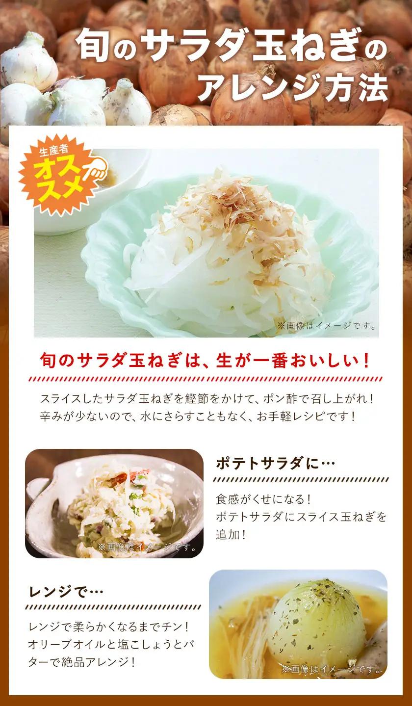 玉ねぎ 節減対象農薬 当地比5割減 サラダ玉ねぎ (中サイズ) 3kg 篠原農園