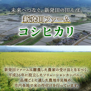【3回定期便】令和7年産新米 コシヒカリ 5kg 定期便 精米 白米 shibatafarm007