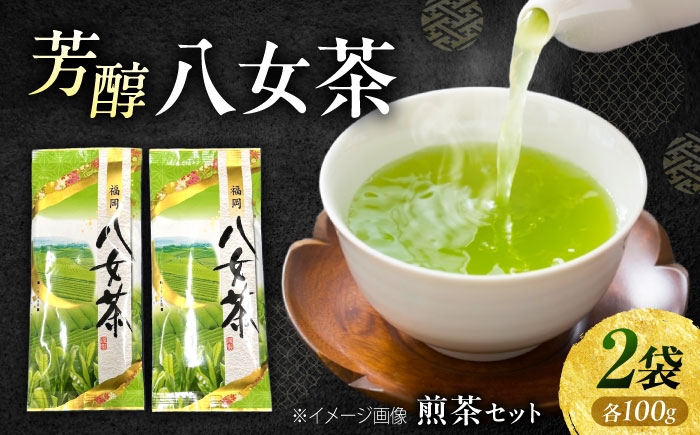 
            八女茶 煎茶セット 100g×2袋 《豊前市》【株式会社木村食品(千代海苔株式会社)】 [VEH016]
          