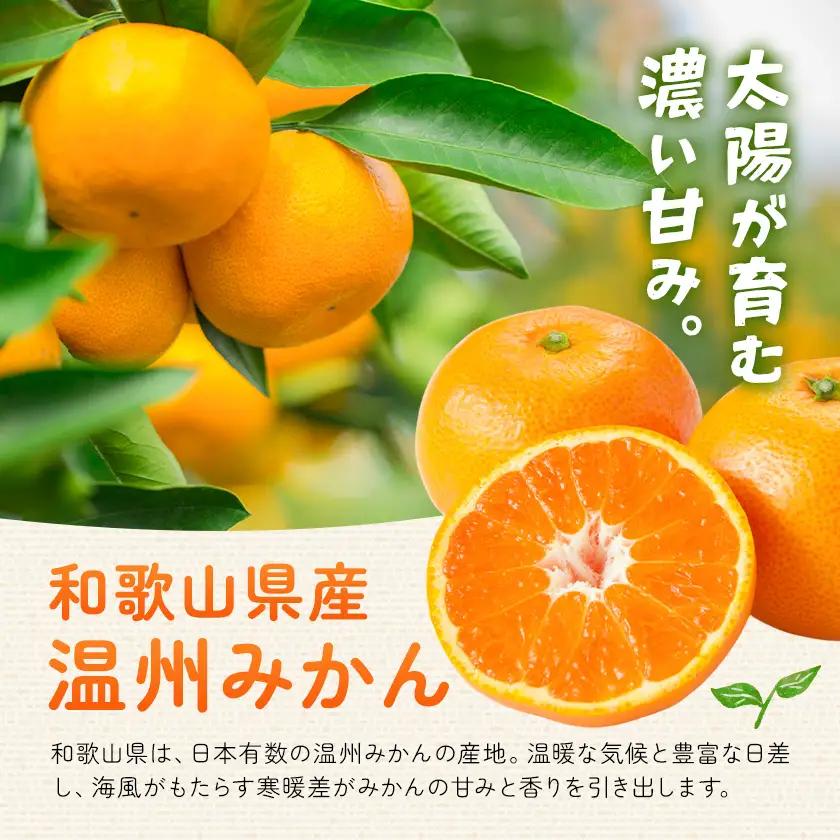 うんしゅうみかん 果汁100%（濃縮還元）30缶 