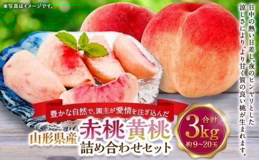 豊かな自然で、園主が愛情を注ぎ込んだ桃（赤桃・黃桃） 詰め合わせ 約3kg （9玉～20玉） ご家庭用 果物 くだもの 夏果実 フルーツ 産地直送 【2025年8月順次発送予定】
