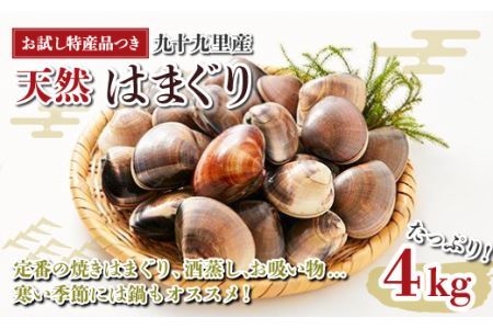 【お試し特産品つき】九十九里産 大粒 天然はまぐり4.0kg SHF003/ 絶品天然はまぐり 万能食材天然はまぐり 九十九里産天然はまぐり