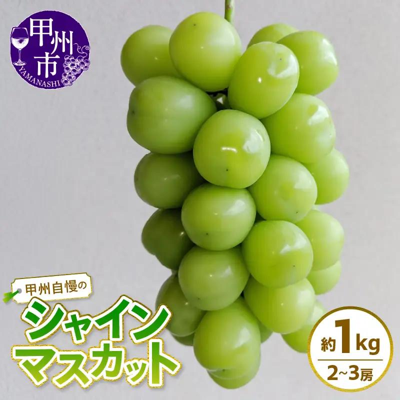 甲州自慢のシャインマスカット 約1kg (2房入り)【2025年発送】（NK）A08-421【シャインマスカット 葡萄 ぶどう ブドウ 令和7年発送 期間限定 山梨県産 甲州市 フルーツ 果物】