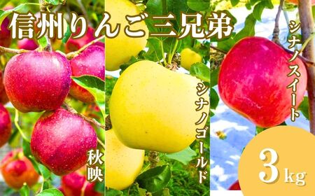 【2026年先行予約】りんご３種詰め合わせ りんご三兄弟（秋映・シナノスイート・シナノゴールド）計約3kg |りんご