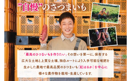 【日本さつまいもサミット2025-26　ファーマーズ・オブ・ザ・イヤー受賞】冷凍 壺焼き芋 3種食べ比べ3kg（500g×6）（1㎏ずつ3品種）【さつまいも 芋 いも  焼き芋 焼芋 やきいも 紅はる