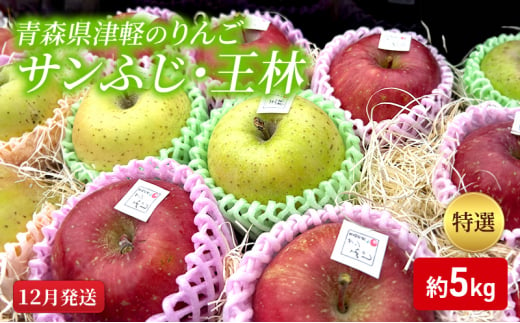 【12月発送】【里いちみfarm】青森県津軽のりんご　特選「サンふじ・王林」約5kg