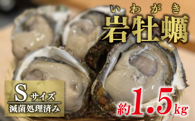 
            岩牡蠣 Sサイズ 約 1.5kg （8～10個） 10000円 いわがき 殻付き 岩がき 殻付 岩カキ 岩かき かき カキ オイスター 大粒 肉厚 カキフライ 焼き牡蠣 蒸し牡蠣 焼きがき ミルク ソテー 酒蒸し オイル漬 塩辛 バーベキュー などに 冷蔵 国産 産地直送 期間限定 数量限定 夏 季節限定 特産品 魚介 養殖 人気 贈答 プレゼント ギフト お取り寄せ 上甲商会 愛南町 愛媛県
          