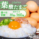 【ふるさと納税】 葉酸たまご 30個 80個 5kg 160個 10kg 選べる ( 卵 たまご 濃い こだわり 玉子 セット 玉子焼き 卵焼き 卵かけご飯 ゆで卵 鶏卵 卵黄 葉酸 栄養 贈答 お歳暮 お中元 ギフト ビタミン アミノ酸 たんぱく質 まとめ買い 京都 京丹波町 みずほファーム )