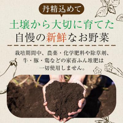 ふるさと納税 さぬき市 さぬき市小田産の食を楽しむTAGATAMEのお任せお野菜セット【大満足サイズ】13品以上 |  | 02