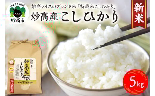 【令和7年産】妙高産こしひかり特別栽培米5kg