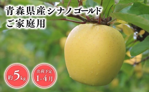 
                  2026年産　 １月～4月発送　【訳あり】家庭用シナノゴールド5kg【青森県 平川市 そと川りんご園】１月～4月発送 家庭用 青森 青森県産 平川 りんご リンゴ 林檎 くだもの 果物 フルーツ 
                
