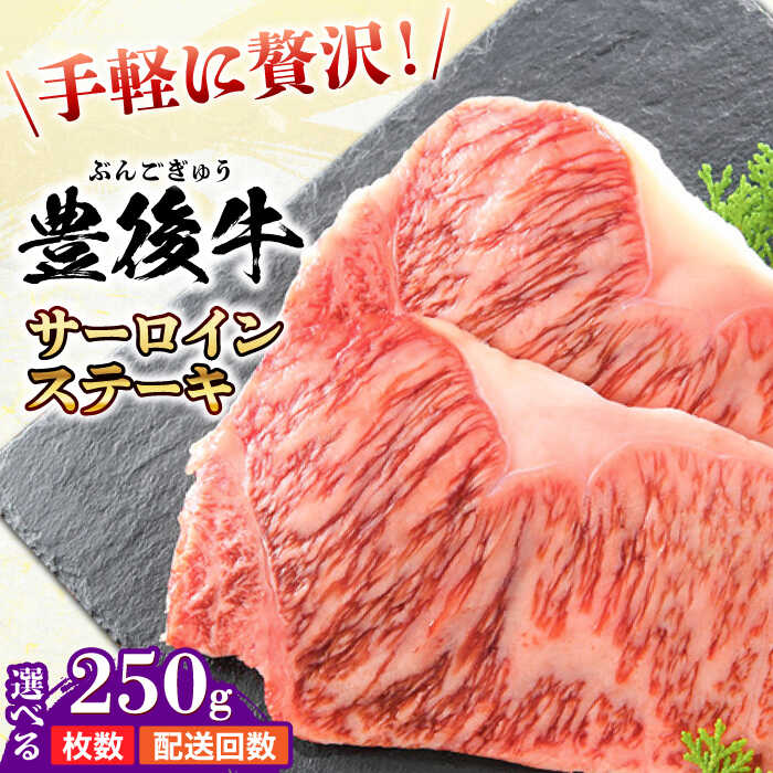 【ふるさと納税】【選べる容量・回数】おおいた豊後牛 サーロインステーキ 250g~1kg (250g/枚) お肉 牛肉 おおいた 豊後牛 黒毛和牛 サーロイン ステーキ 国産 鉄板焼き 冷凍 和牛 霜降り 小分け 日田市 / 株式会社MEAT PLUS　肉 牛肉 和牛[AREI006-008,053-061]