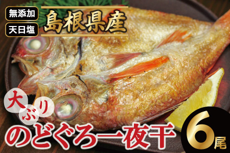 島根県沖！大ぶり「のどぐろ一夜干し」（６尾）【のどぐろ一夜干し 1尾あたり176～200g のどぐろ 干物 無添加 天日塩 魚介類 魚 ノドグロ のど黒 アカムツ 大きめ 干物 新鮮 冷凍 真空パック