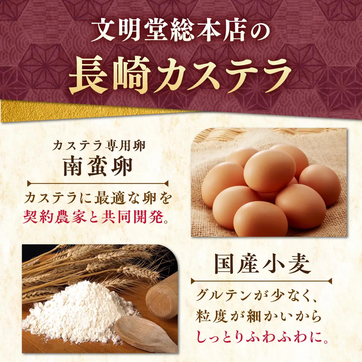 【お中元対象】7日発送）長崎カステラ2本[EAK026]カステラ