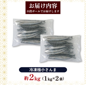 極小 さんま 2kg 1kg×2袋 冷凍  サンマ 秋刀魚 こぶり 骨まで食べられる 冷凍さんま 無添加さんま 小さなさんま