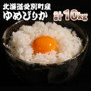 【ふるさと納税】愛別町産米（ゆめぴりか5kg×2袋）【A15202】